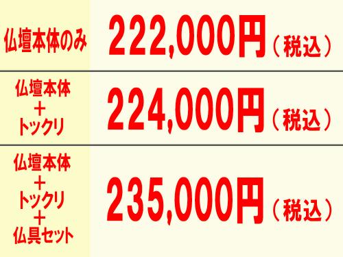 イクシア(自動)価格例