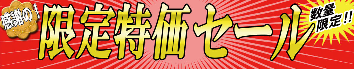 感謝の！限定特価セール数量限定！！