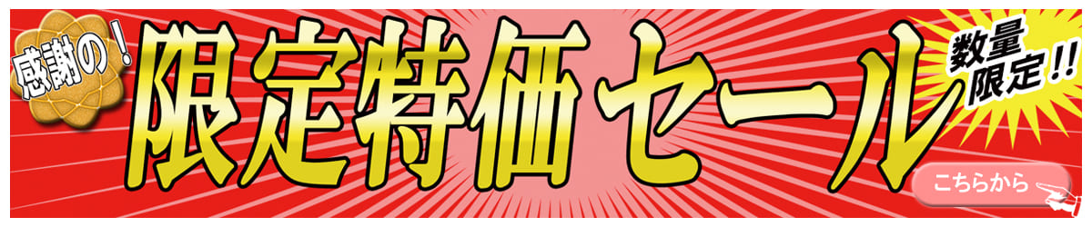 感謝の！限定特価セール